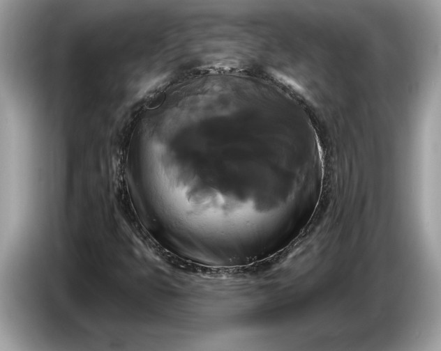 X0000086731399200704271621