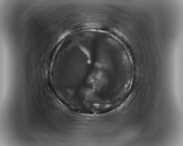 X0000086731401200704271621