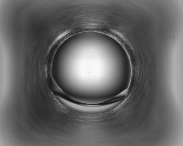 X0000086731402200704271621