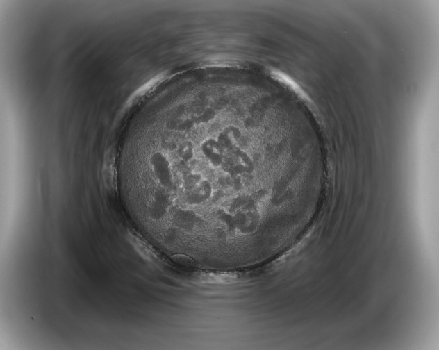 X0000086731403200704271621