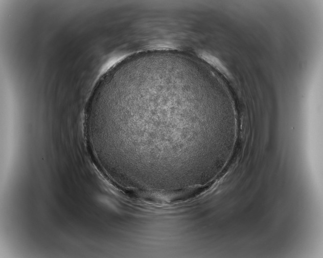 X0000086731404200704271621