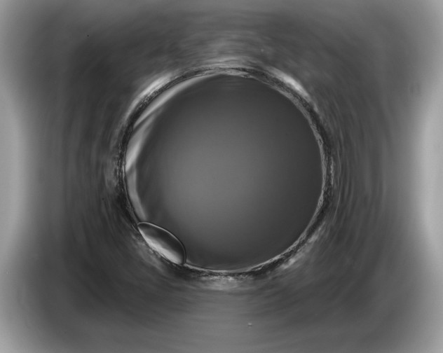 X0000086731405200704271621