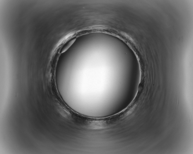 X0000086731406200704271621