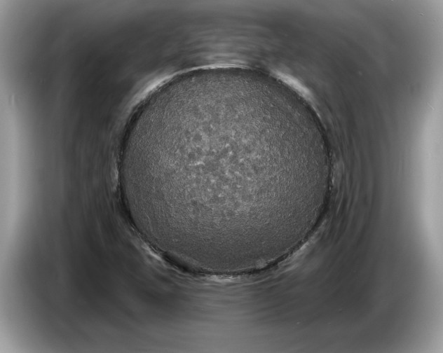 X0000086731407200704271621