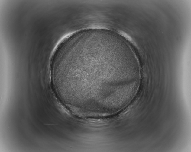 X0000086731408200704271621