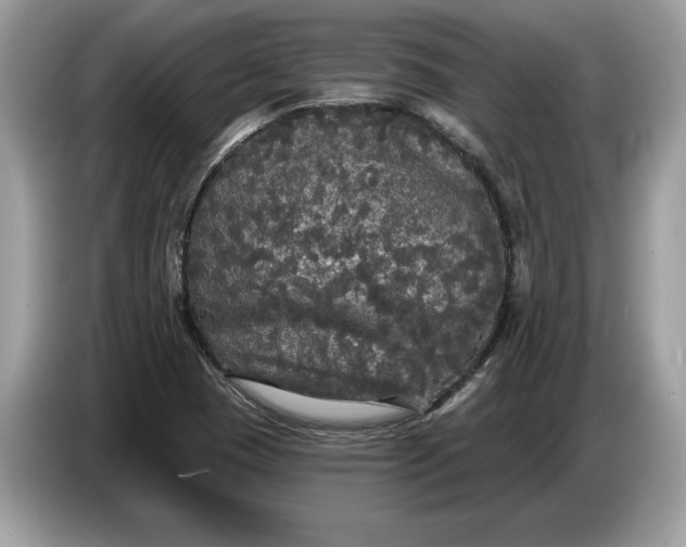 X0000086731409200704271621