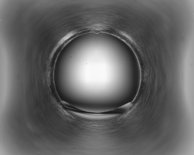 X0000086731410200704271621