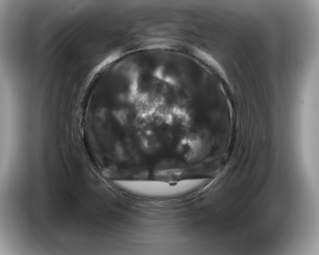 X0000086731411200704271621