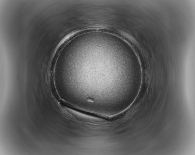 X0000086731412200704271621