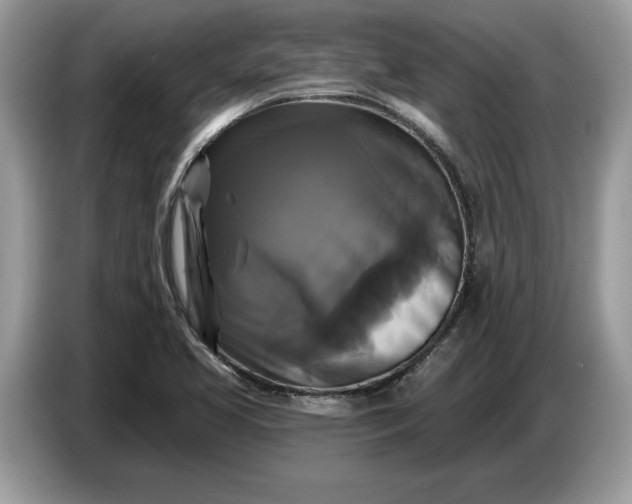 X0000086731413200704271621