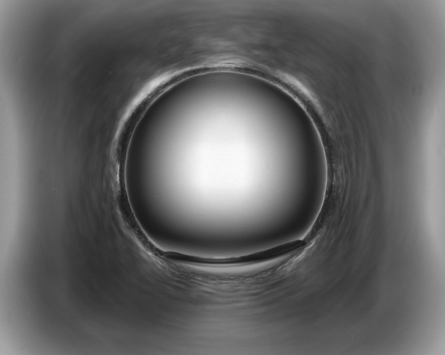 X0000086731414200704271621