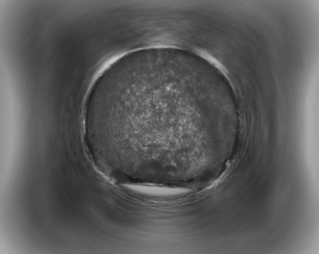 X0000086731415200704271621