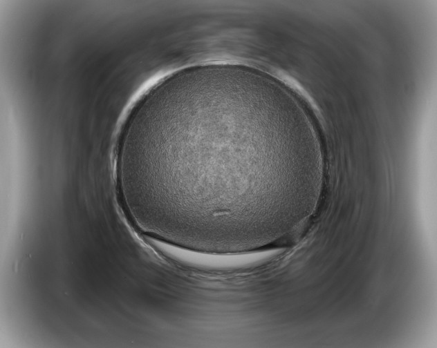 X0000086731416200704271621