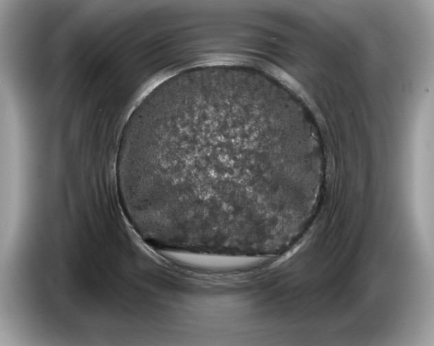 X0000086731417200704271621