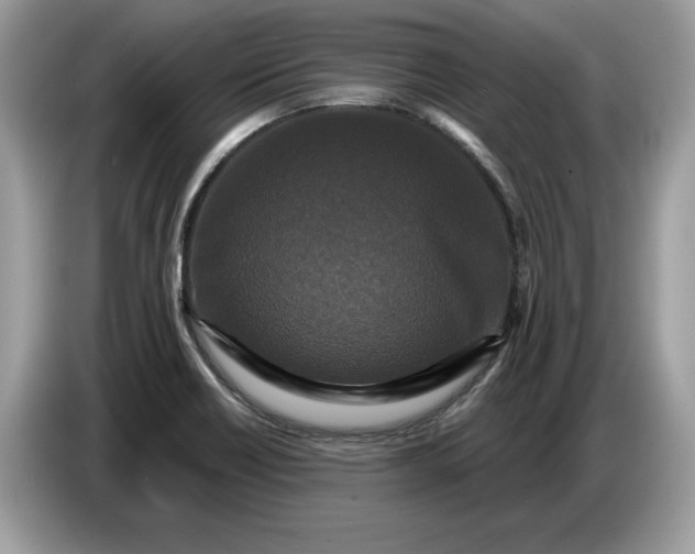 X0000086731418200704271621