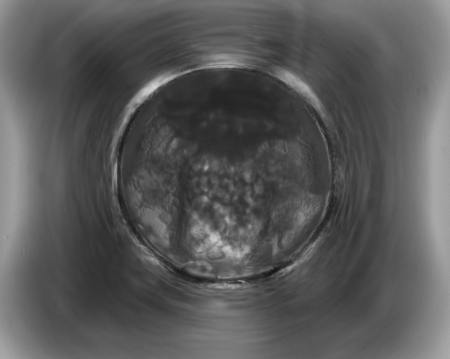 X0000086731419200704271621