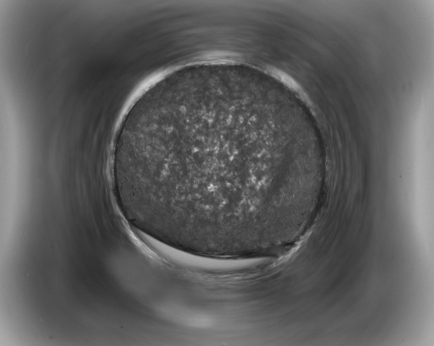 X0000086731421200704271621