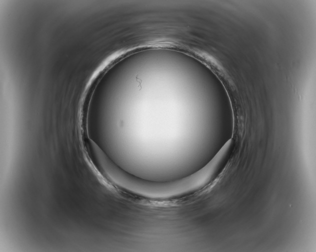 X0000086731422200704271621