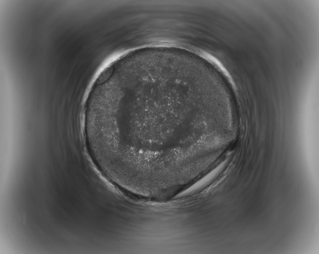 X0000086731424200704271621