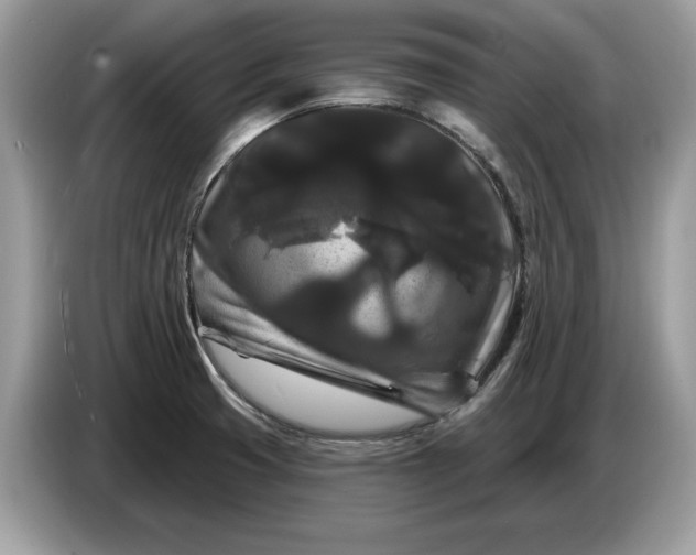 X0000086731425200704271621