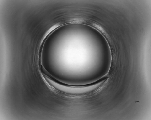 X0000086731426200704271621