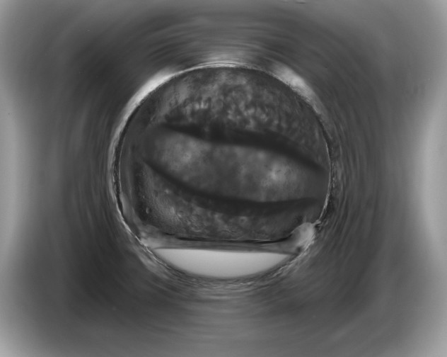 X0000086731427200704271621