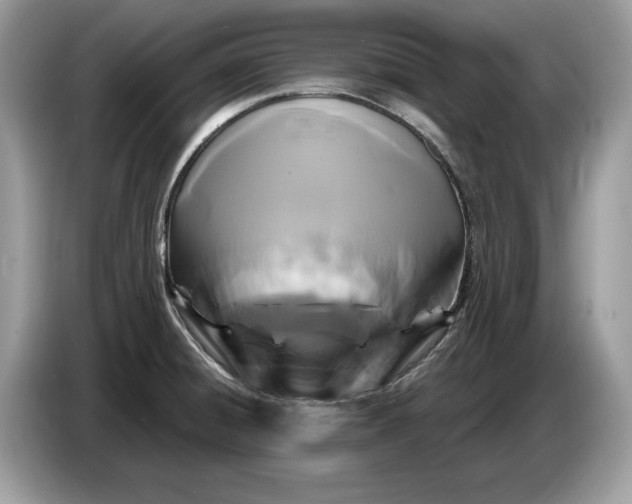 X0000086731428200704271621