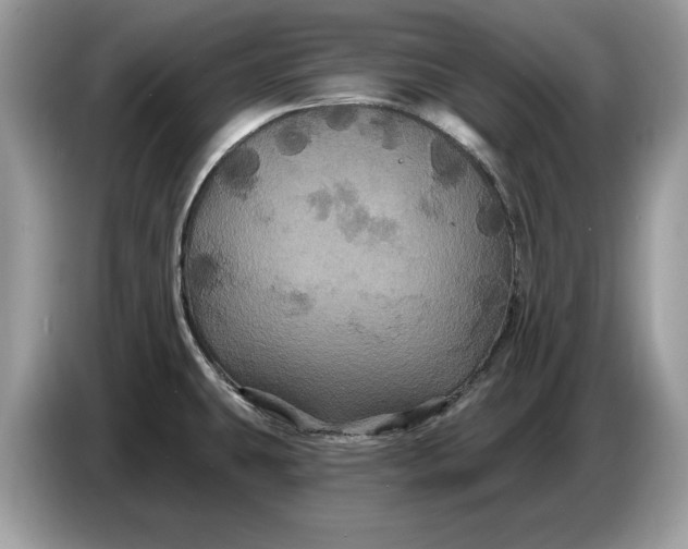 X0000086731431200704271622