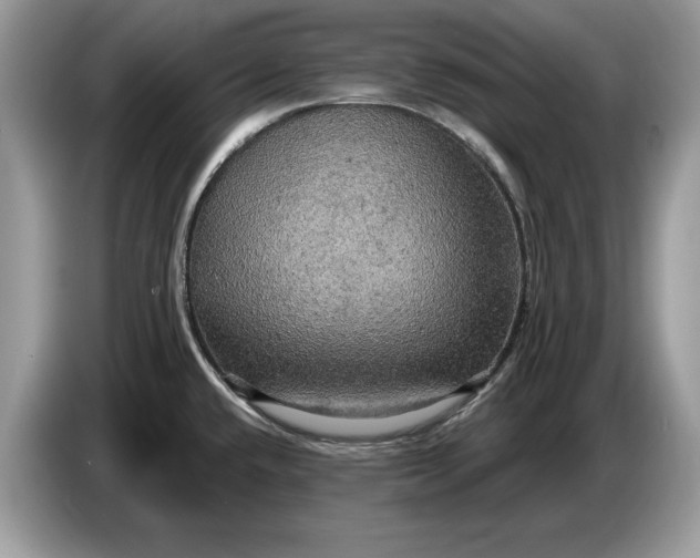 X0000086731432200704271622