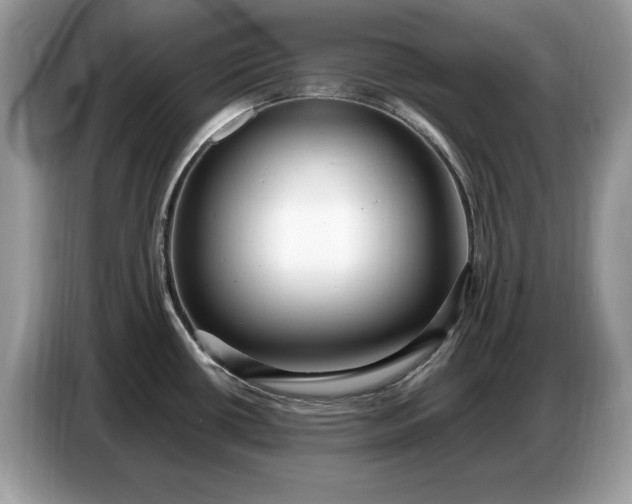 X0000086731434200704271622