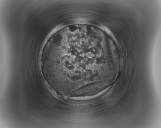 X0000086731435200704271622