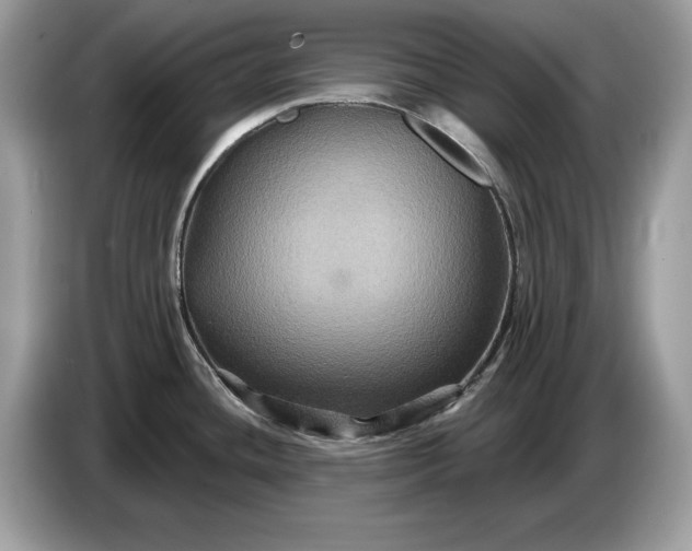 X0000086731436200704271622