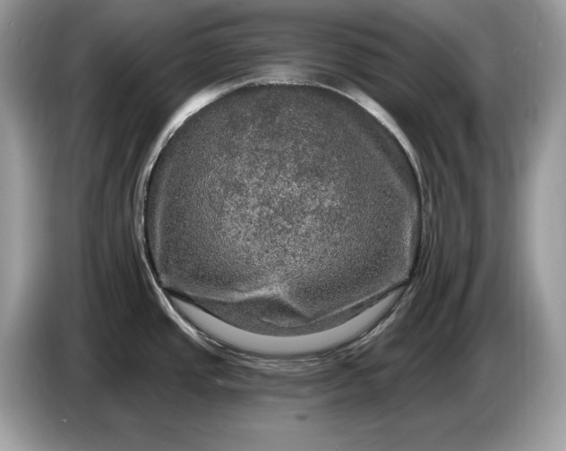 X0000086731437200704271622