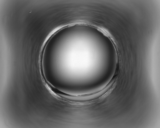 X0000086731438200704271622