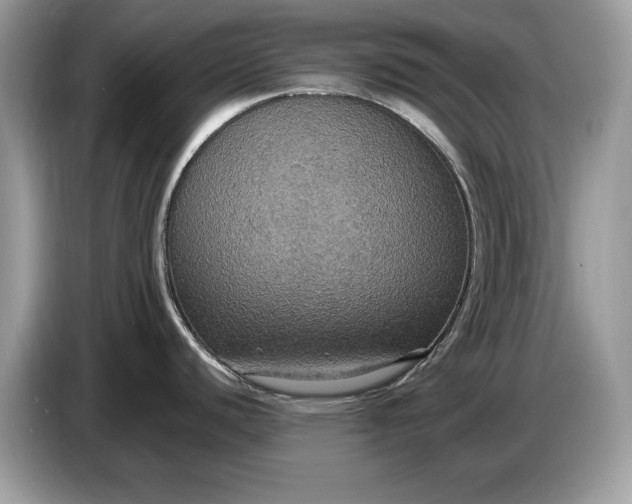 X0000086731440200704271622