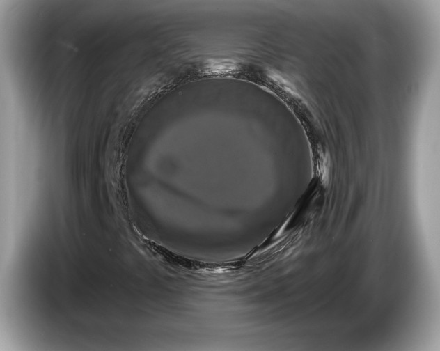 X0000086731441200704271621