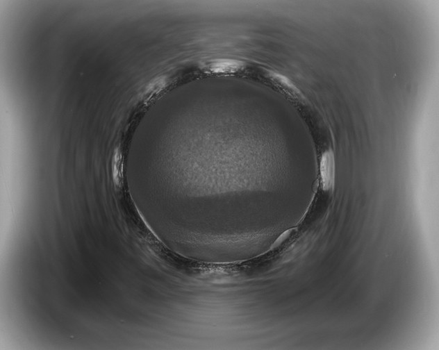 X0000086731443200704271621