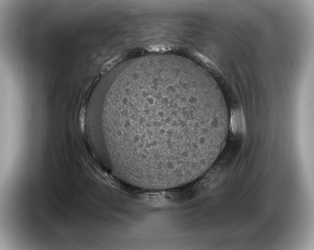 X0000086731444200704271621