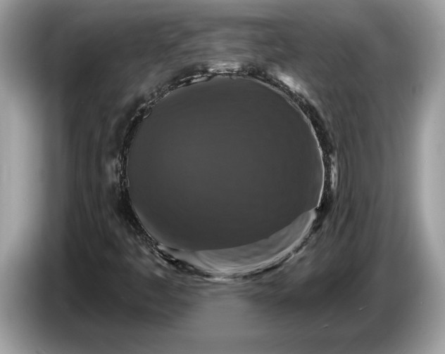 X0000086731445200704271621