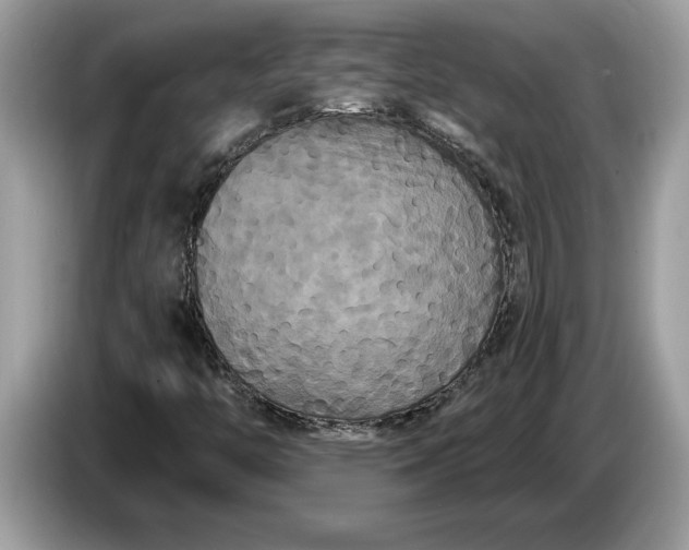 X0000086731446200704271621