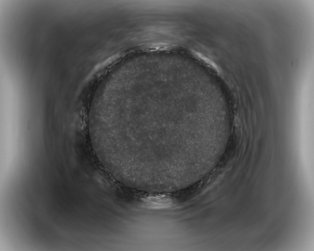 X0000086731447200704271621