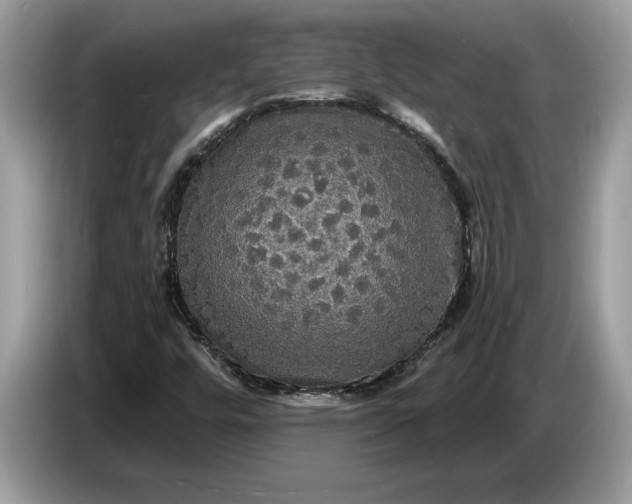 X0000086731448200704271621