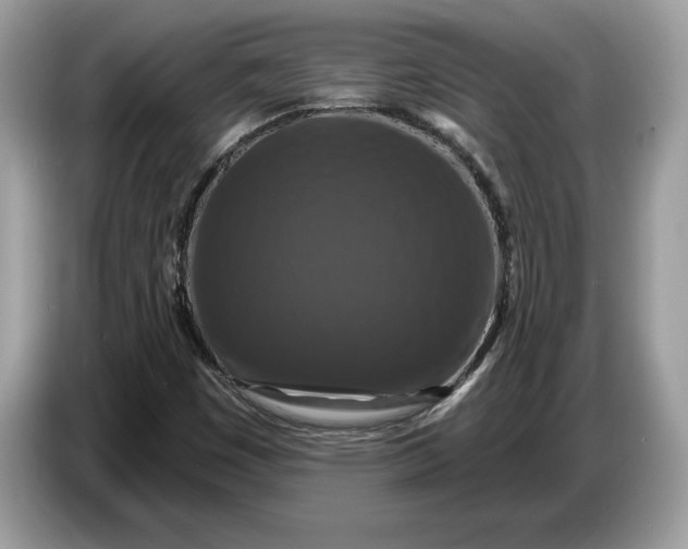 X0000086731449200704271621