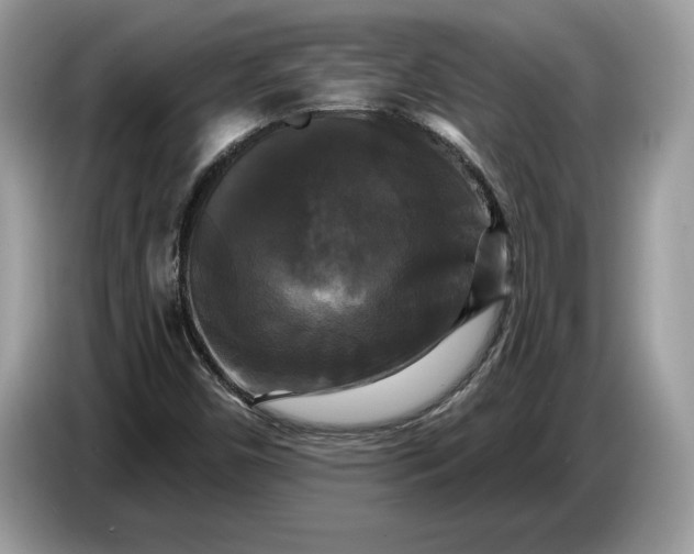 X0000086731450200704271621