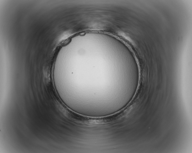 X0000086731451200704271621