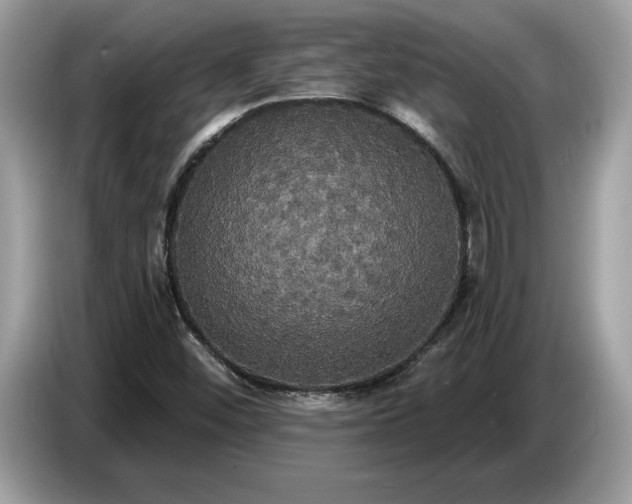 X0000086731452200704271621