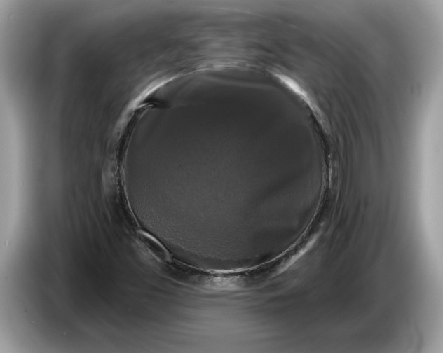 X0000086731453200704271621