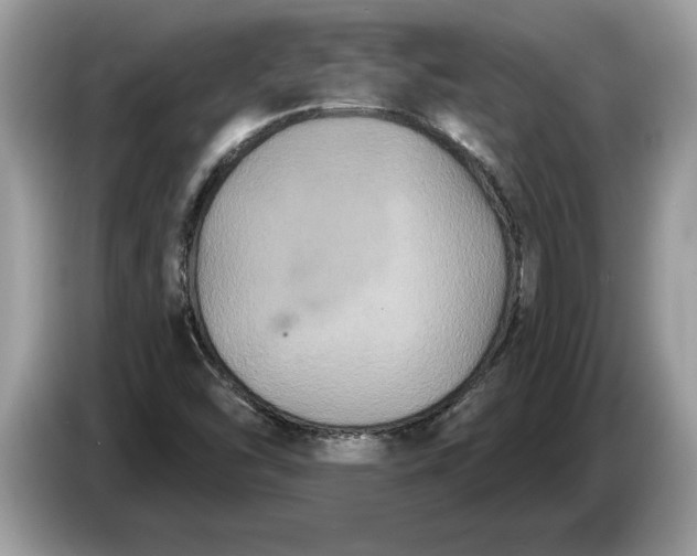 X0000086731454200704271621