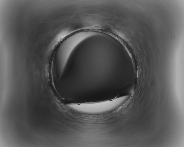 X0000086731455200704271621