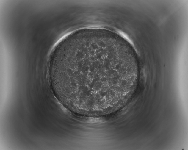 X0000086731456200704271621